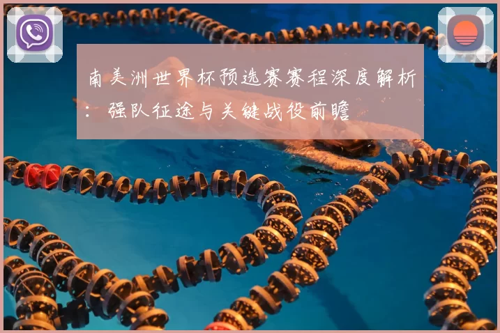 南美洲世界杯预选赛赛程深度解析:强队征途与关键战役前瞻