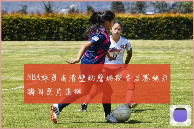 NBA球员高清壁纸詹姆斯季后赛绝杀瞬间图片集锦