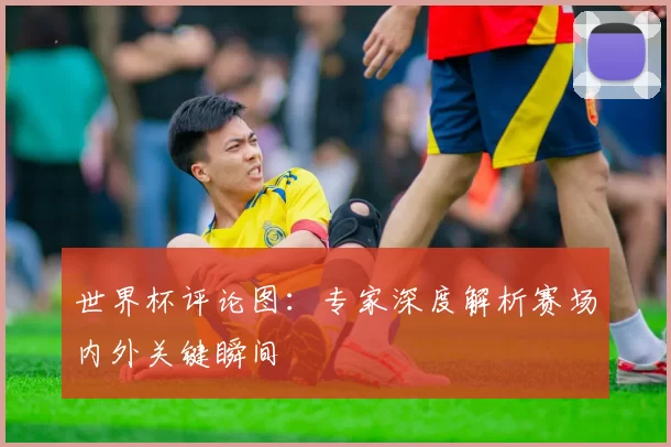 世界杯评论图:专家深度解析赛场内外关键瞬间