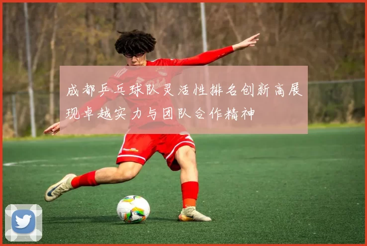 成都乒乓球队灵活性排名创新高展现卓越实力与团队合作精神