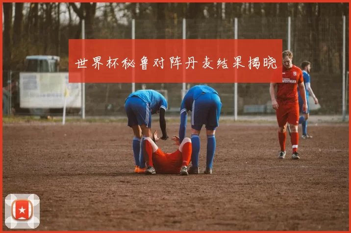 世界杯秘鲁对阵丹麦结果揭晓