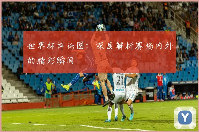 世界杯评论图:深度解析赛场内外的精彩瞬间