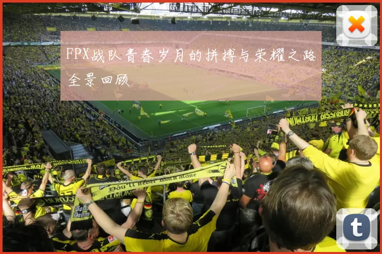 FPX战队青春岁月的拼搏与荣耀之路全景回顾