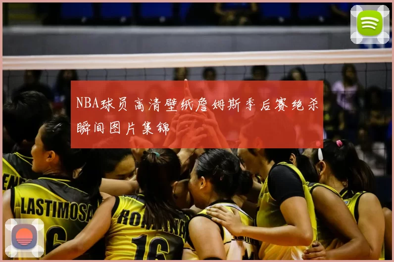 NBA球员高清壁纸詹姆斯季后赛绝杀瞬间图片集锦