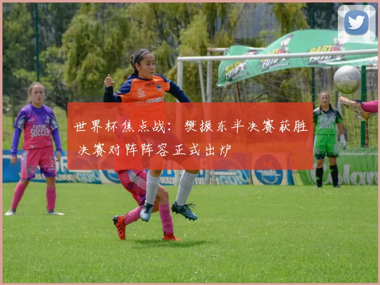 世界杯焦点战：樊振东半决赛获胜 决赛对阵阵容正式出炉