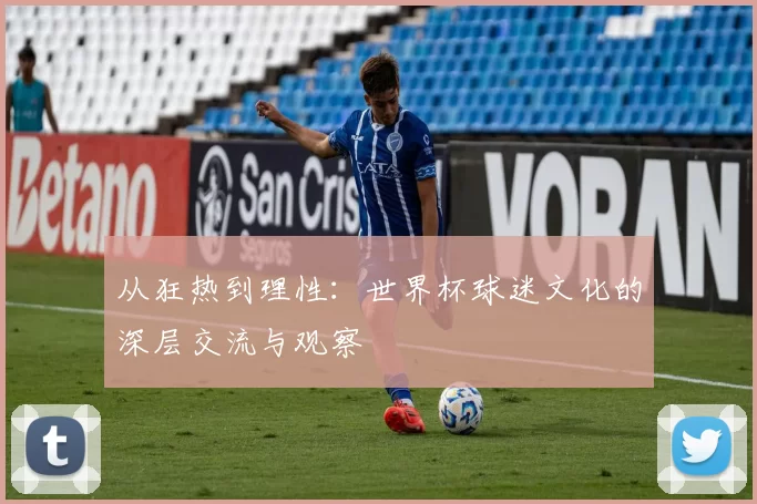 从狂热到理性:世界杯球迷文化的深层交流与观察