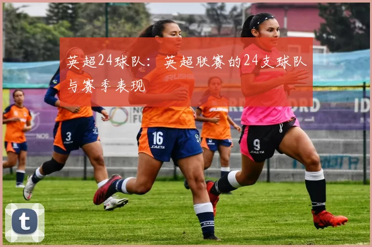 英超24球队：英超联赛的24支球队与赛季表现